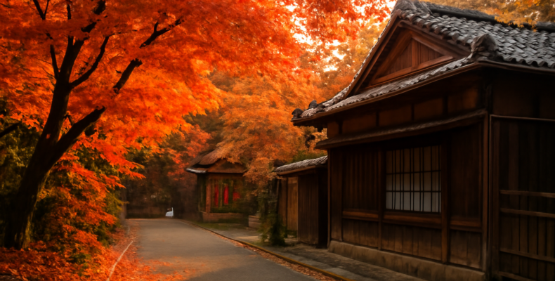 Suasana jalan di Jepang saat musim gugur dengan daun maple merah dan rumah kayu tradisional